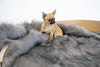 LOUE Dog Bed
