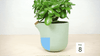 Natural Balance Vase