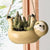 Hanging Sloth Pot